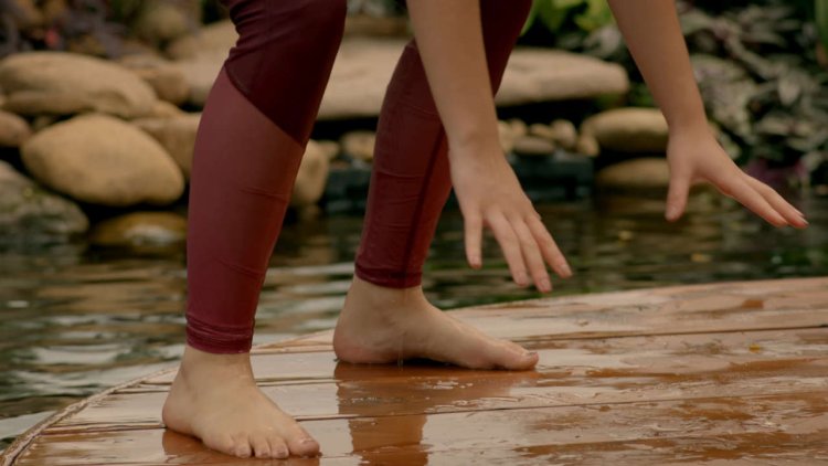 Black Mango Mary plums