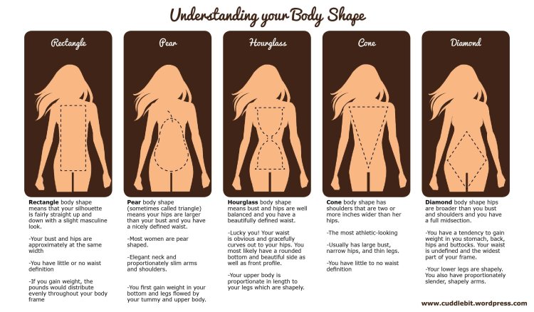 Types of body Shapes
