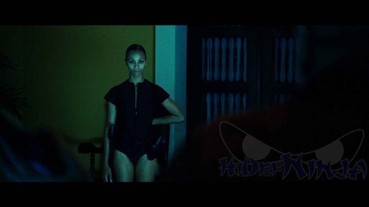 Marco vs. Cataleya Colombiana