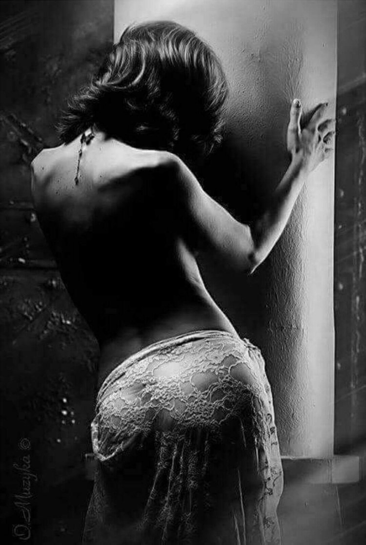 Beautiful curves of the female body