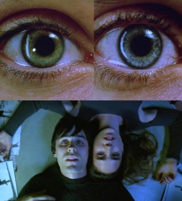 Jared Leto Requiem for a Dream and Jennifer Connelly