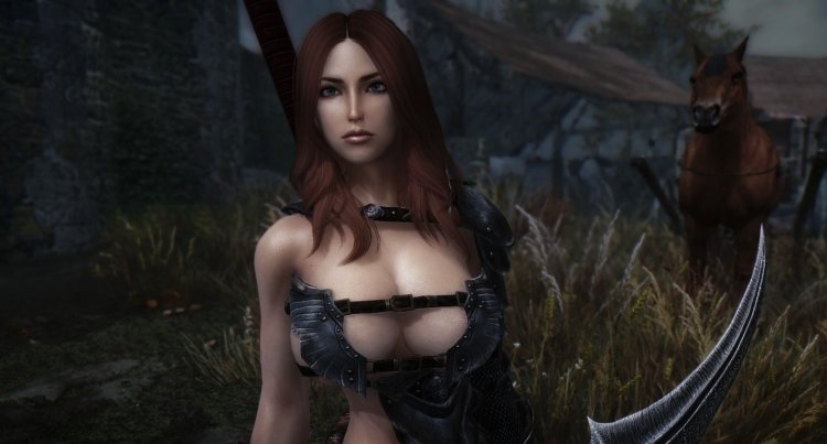 Skyrim companion mod