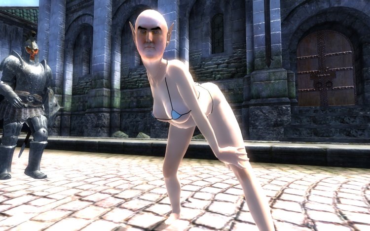 The Elder Scrolls IV Oblivion freaks from the editor