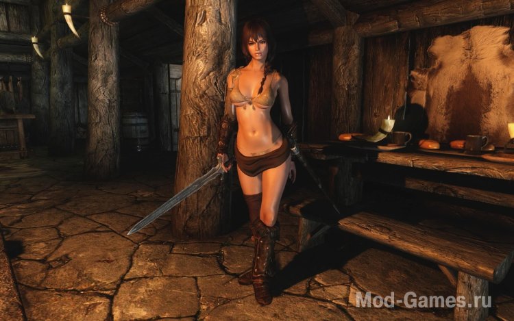 Elder Scrolls 5: Skyrim "companion of Rin"