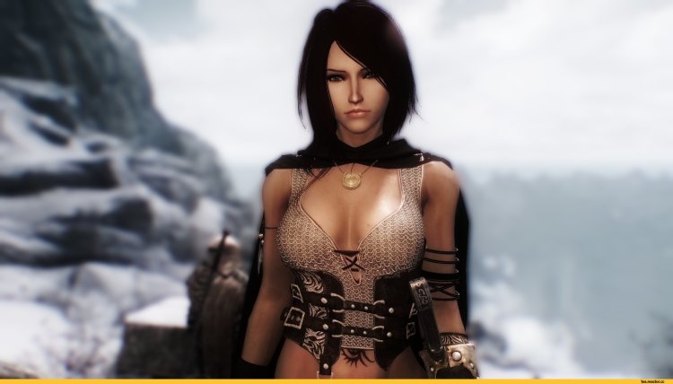 The Elder Scrolls 5 female companions