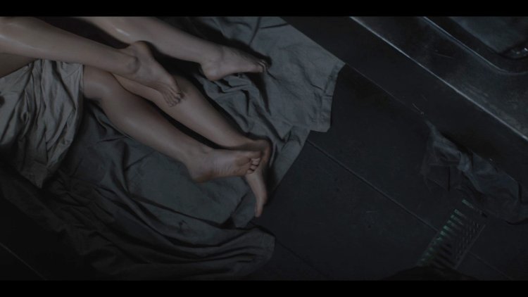 Wikifeet Daniella Pineda