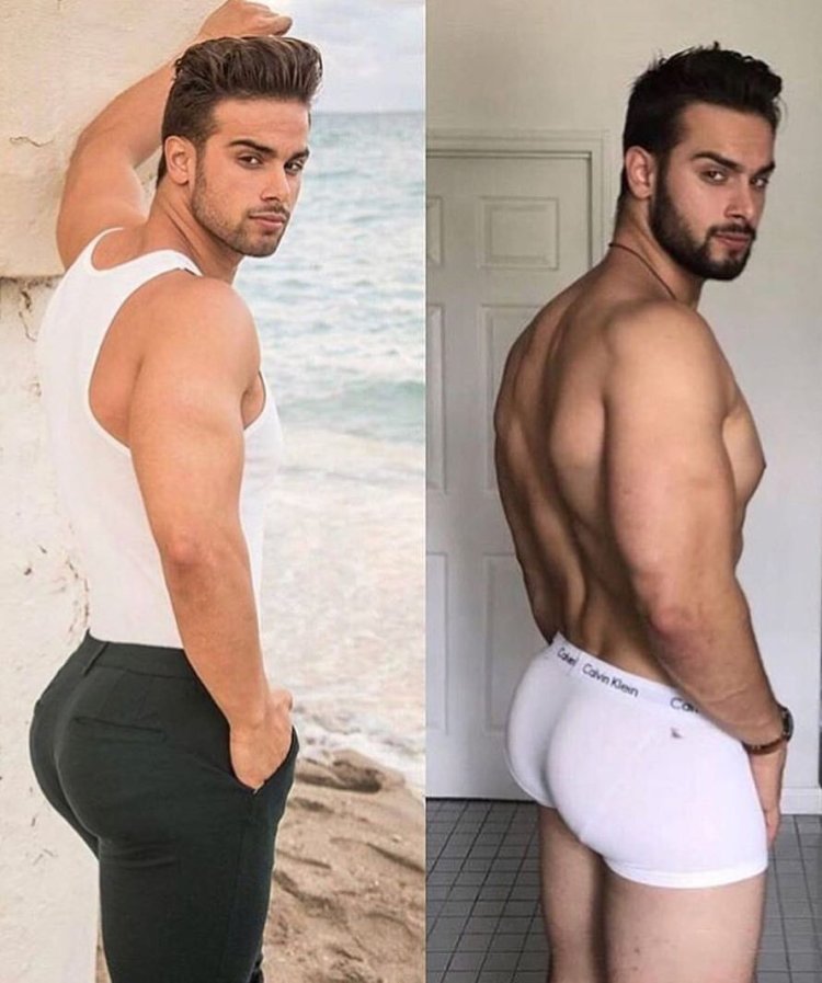 Andrew Bongiorno torso