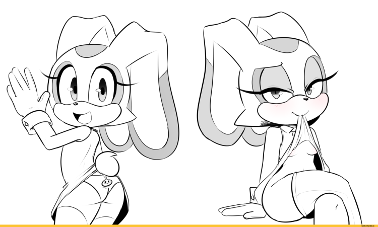 Hearlesssoul Amy Sonic