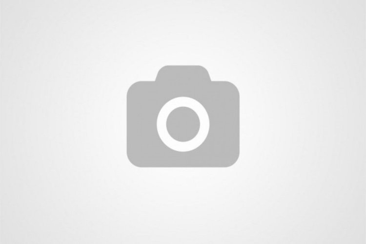 Motherboard MSI 865gvm2-LS