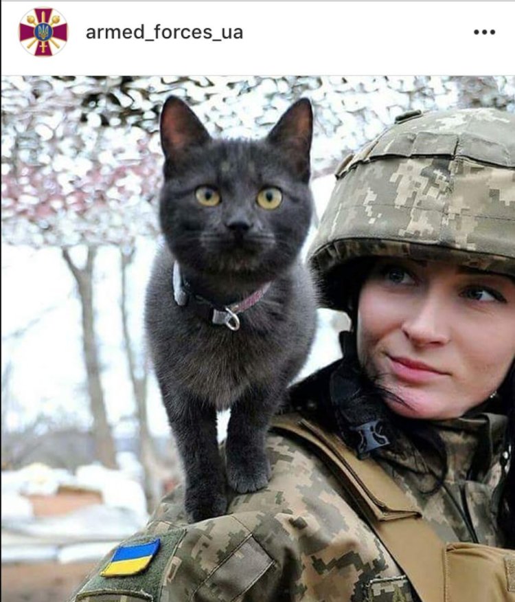Soldier with a cat