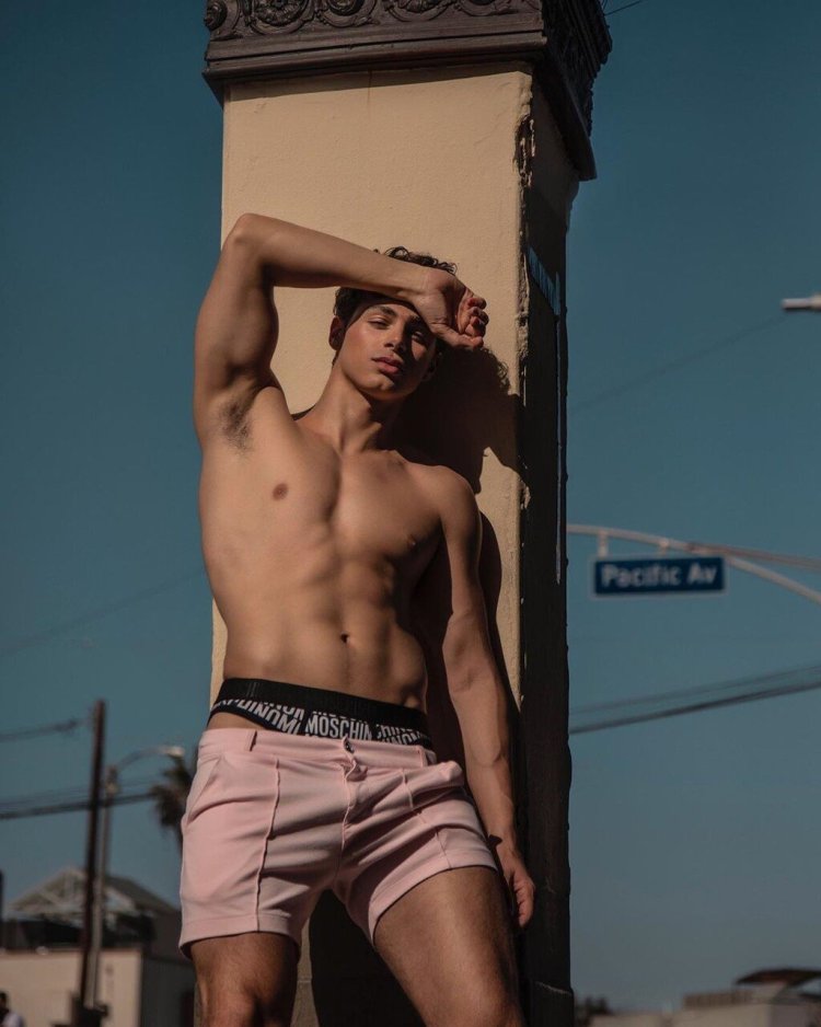 Timothée Chalamet torso