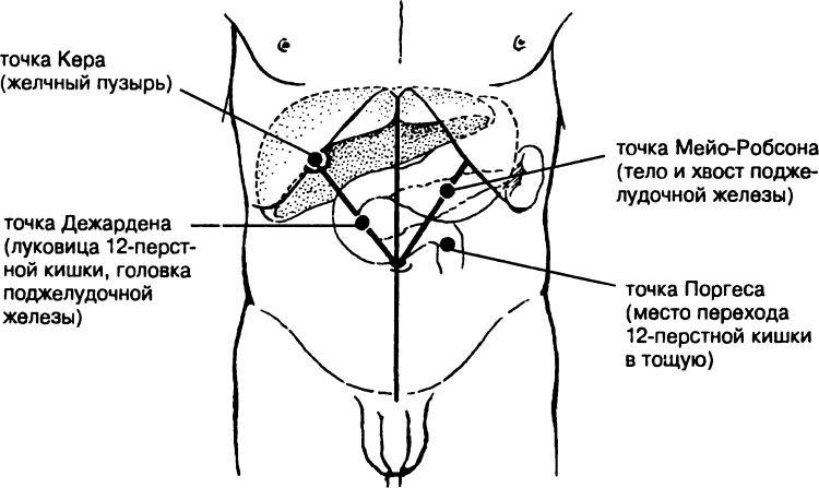 Projection point of the gallbladder