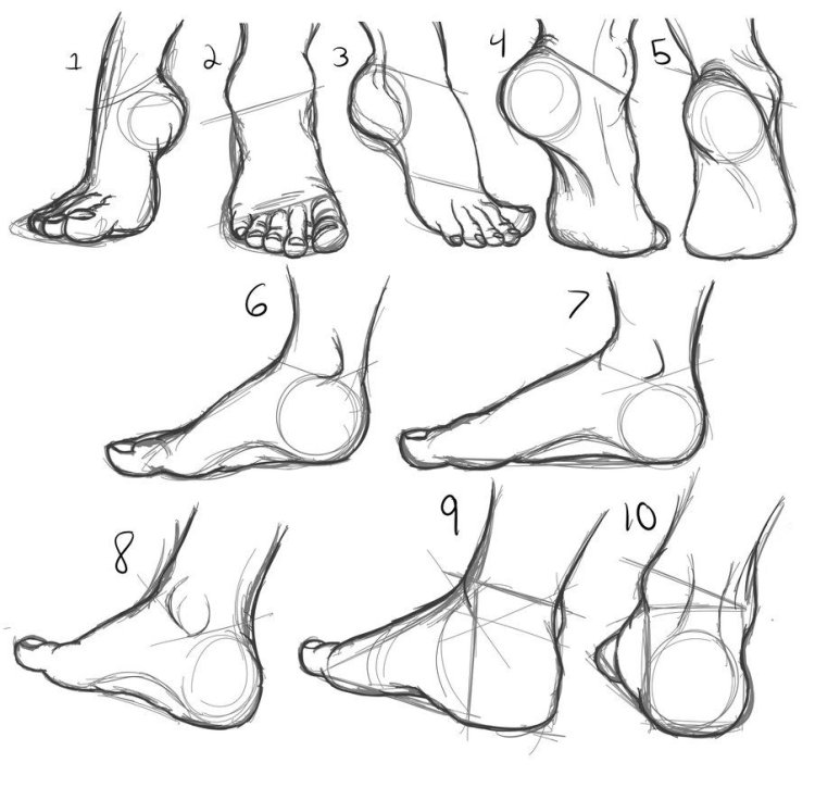 Human foot reference from the side