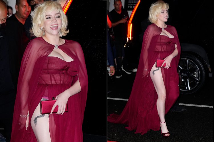 Billie Eilish Met Gala