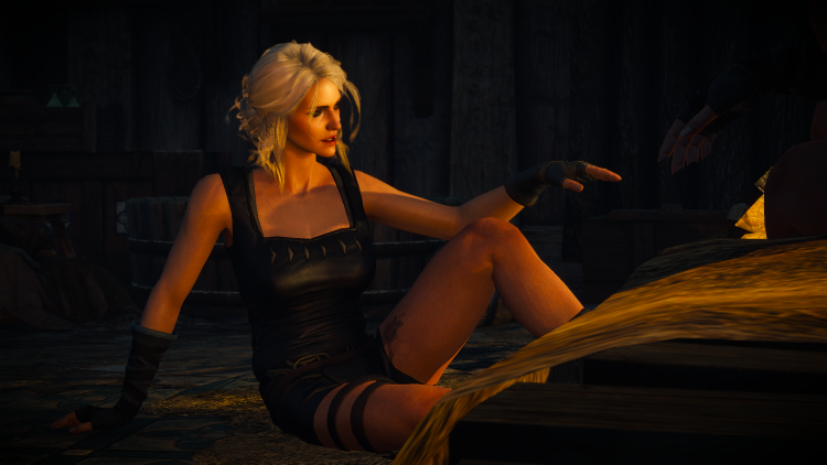 Ciri the Witcher 3 legs