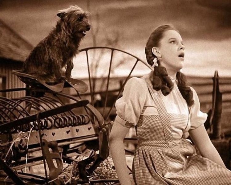 The Wizard of Oz Judy Garland