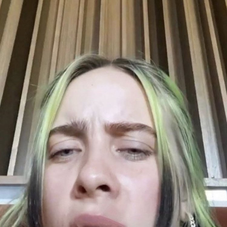 Billy Eilish in the toilet