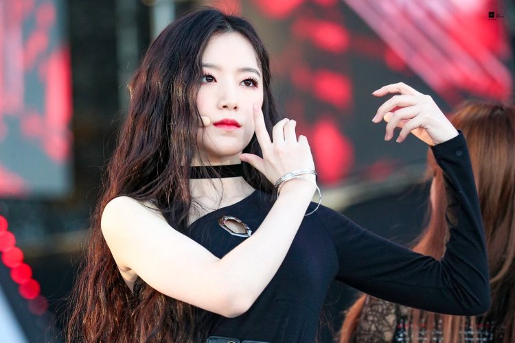 Shuhua nxde
