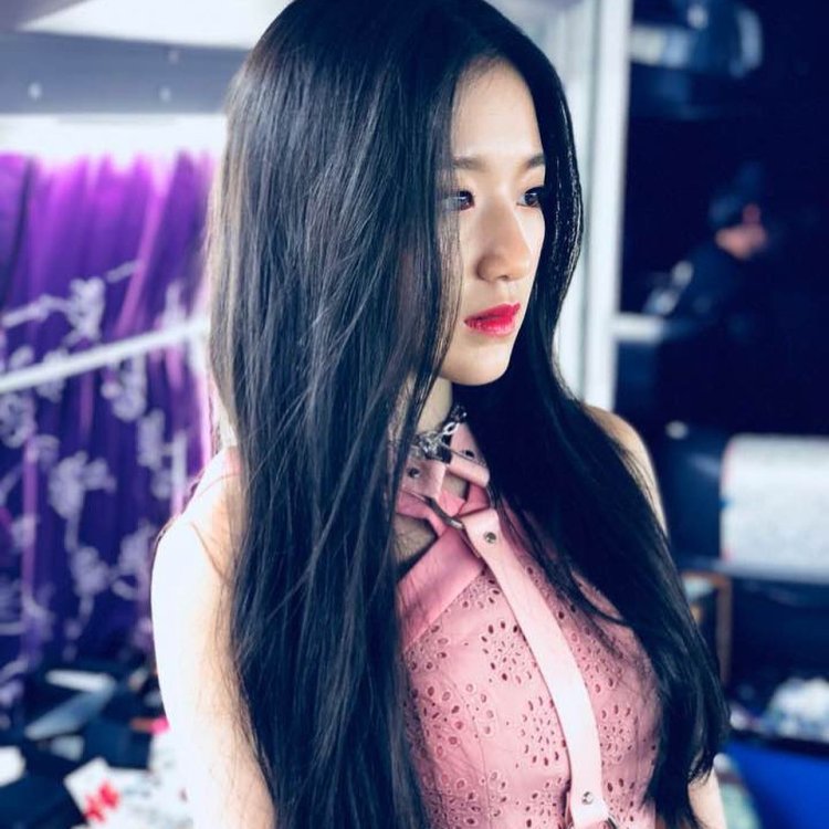 Shuhua Aesthetics e Aesthetics