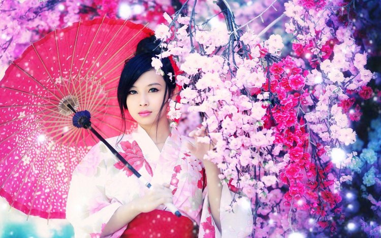Japan sakura geisha