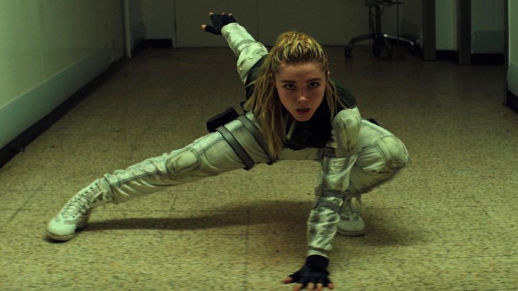 Elena Belova Pozerka