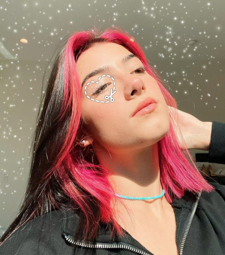 Charlie d'Amelio plums