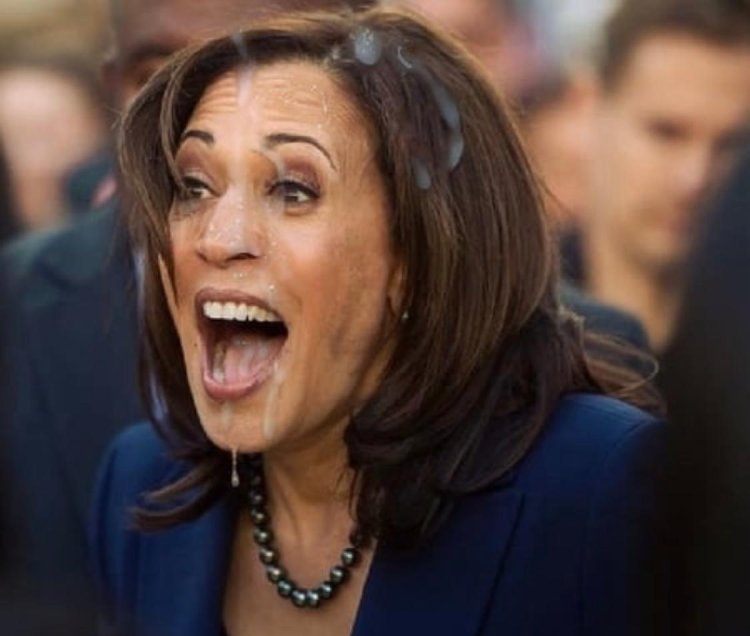 Kamala Harris trans