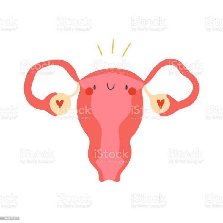 Uterus pig cartoon