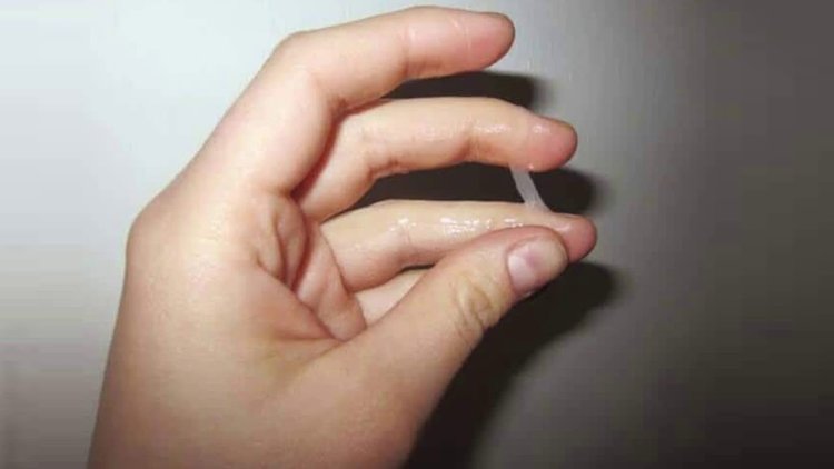 Transparent viscous mucus