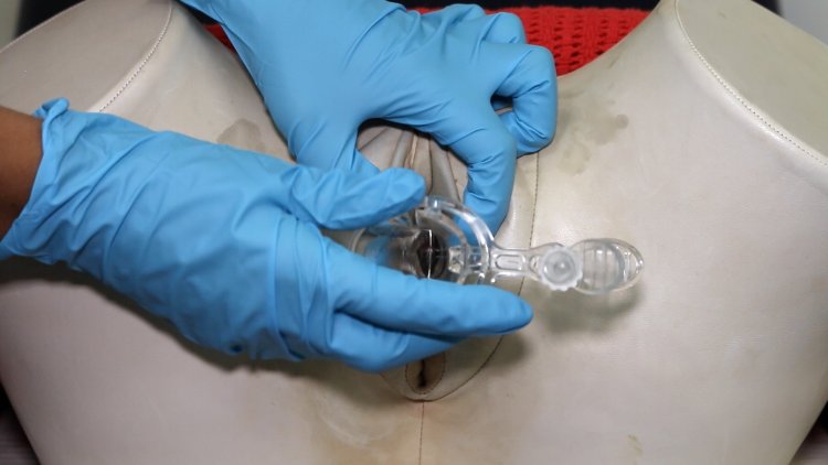 Medical photos of vaginas