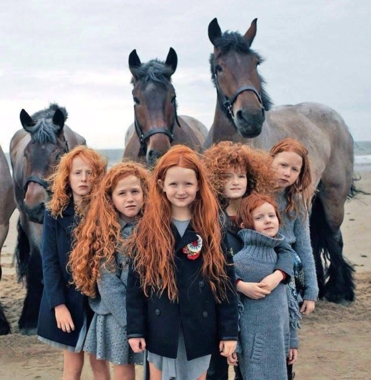 Redhead festival in ireland