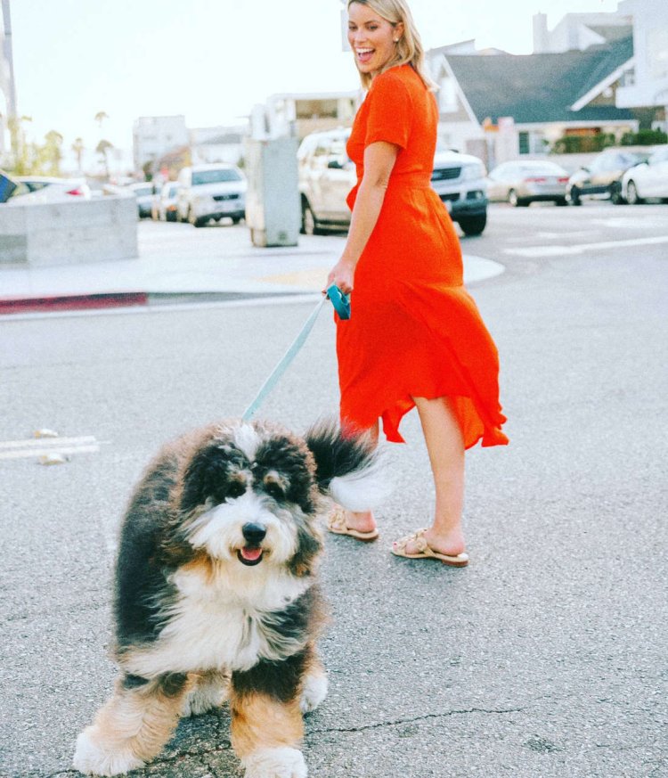 Taft ad 90s woman with cat