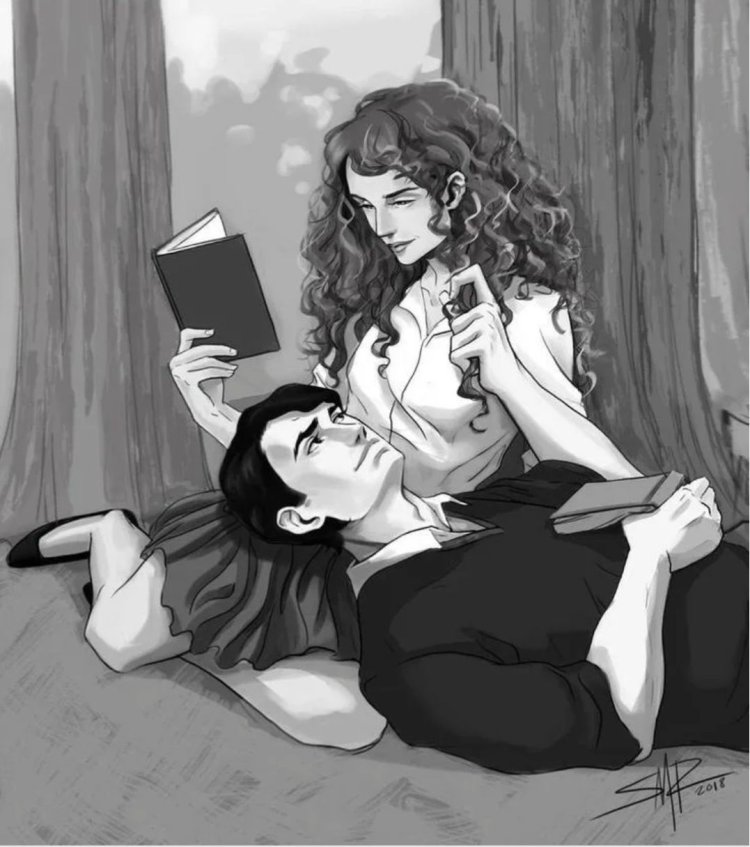 Harry and Bellatrix art