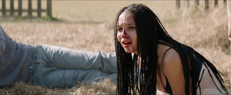 Lisa Bonet Ray Donovan