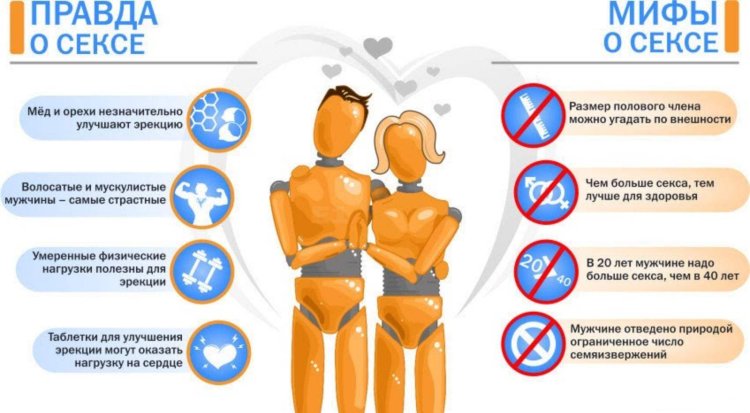 Interesting facts about the male reproductive system