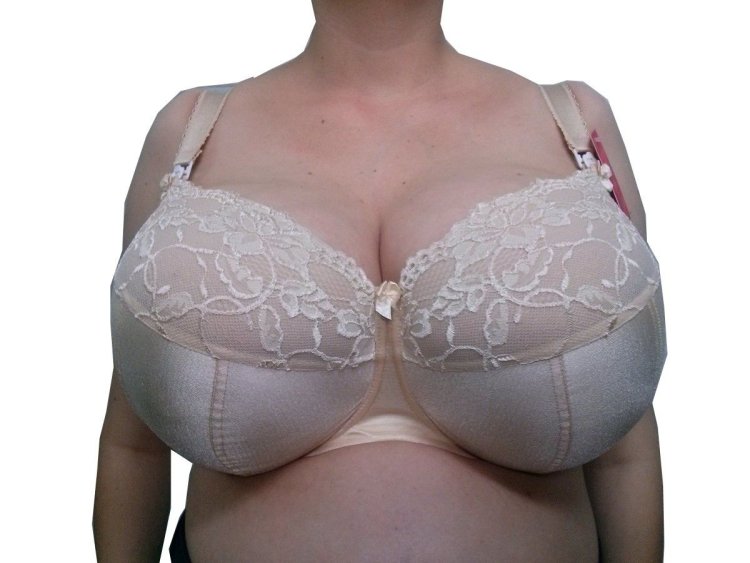 Plus size bras