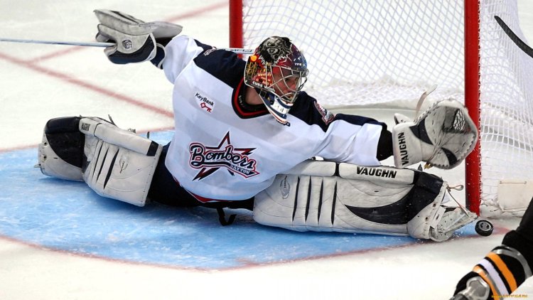 Goalie saves in hockey
