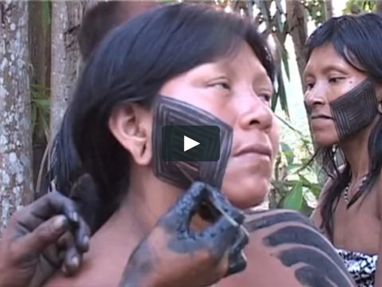 Wild tribes of the Amazon cannibals
