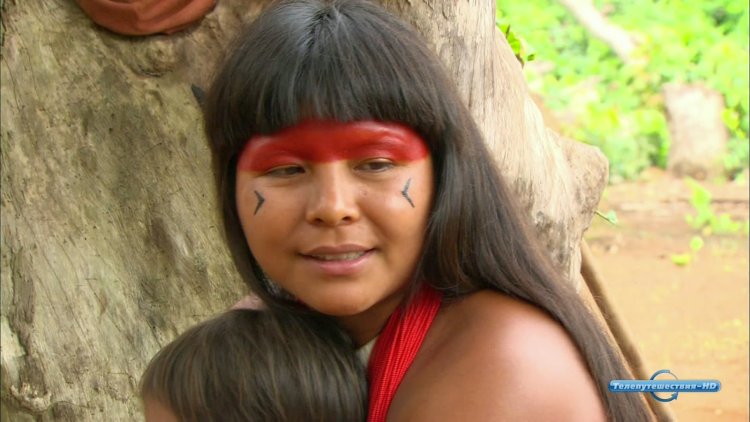 Tears of the Amazon 2010