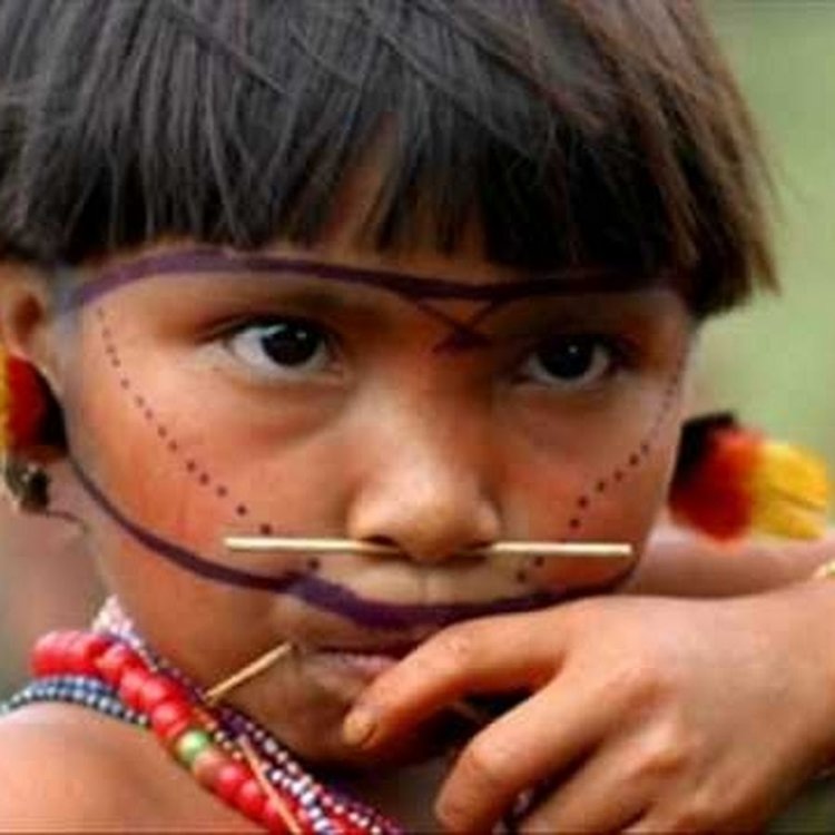 Yanomami Tribe Ricardo food