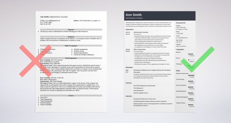 Programmer's resume