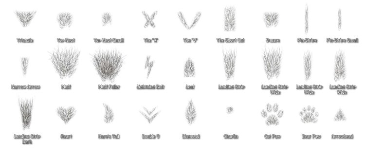 Forms and varieties of pussies