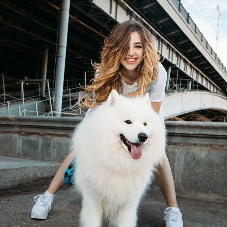 Anya Pokrovskaya Dream team