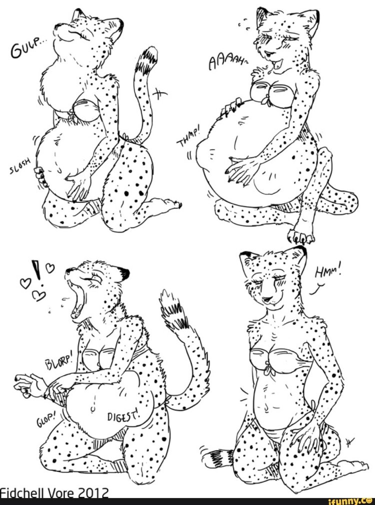 Cheetah Jaicr Vore