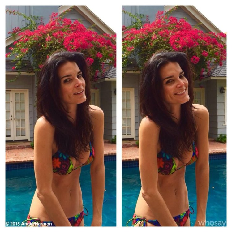 Angie Harmon in bikini