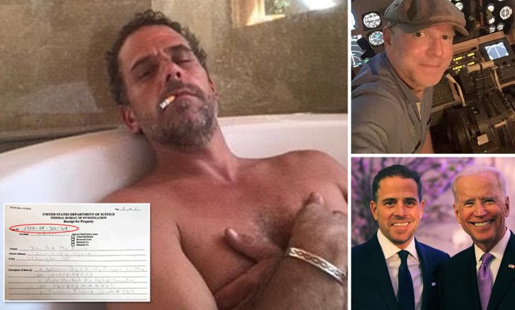 Hunter joe biden drain