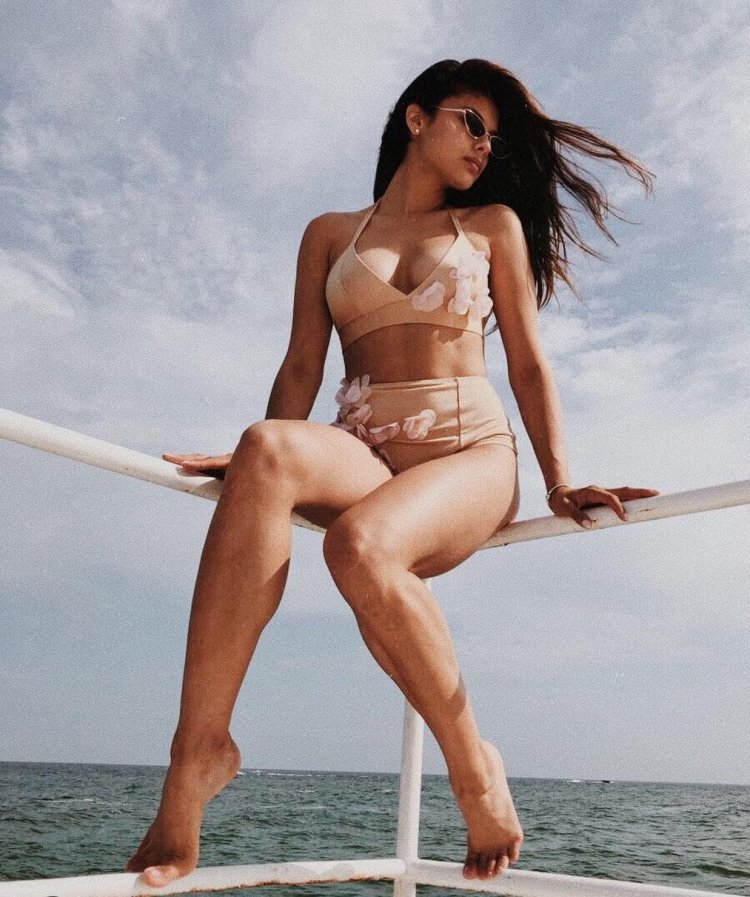 Michel Andrade Maxim