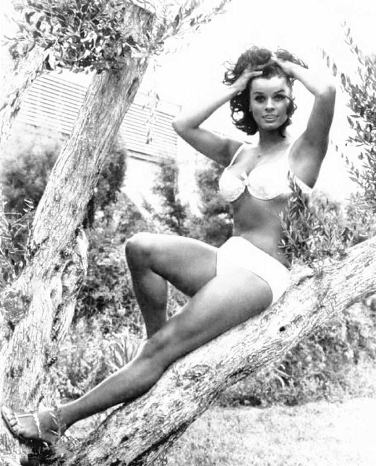 Senta Berger topless