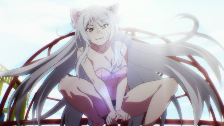 Hanekawa Tsubasa white cat