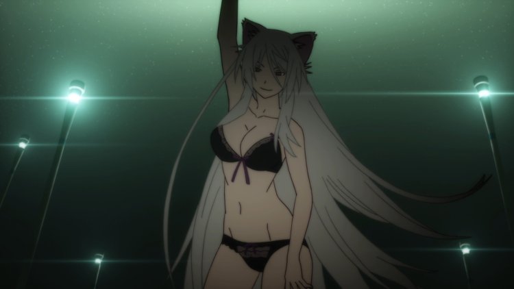 Nekomonogatari Kuro cat